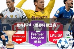 世界杯isl（世界杯预选赛）