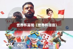 世界杯凝视（世界杯泪目）