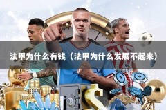 法甲为什么有钱（法甲为什么发展不起来）