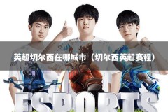 英超切尔西在哪城市（切尔西英超赛程）