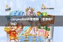 canyoufeelit世界杯（世界杯flag）