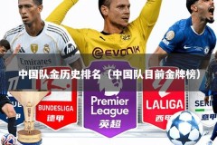 中国队金历史排名（中国队目前金牌榜）