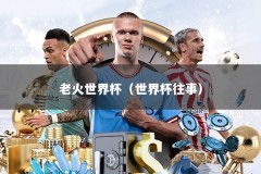 老火世界杯（世界杯往事）
