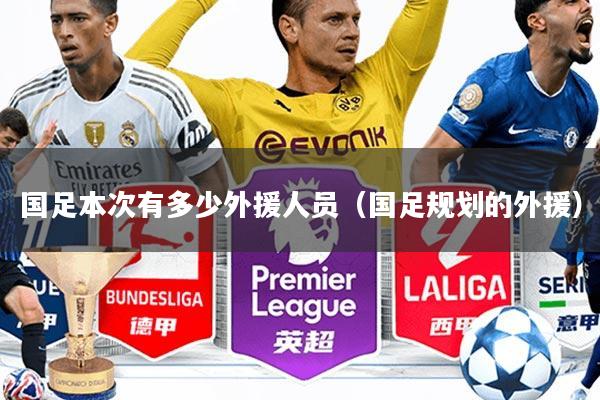 国足本次有多少外援人员(国足规划的外援)