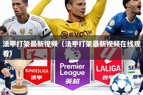 法甲打架最新视频(法甲打架最新视频在线观看)