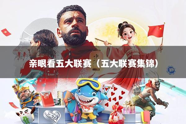 亲眼看五大联赛(五大联赛集锦)